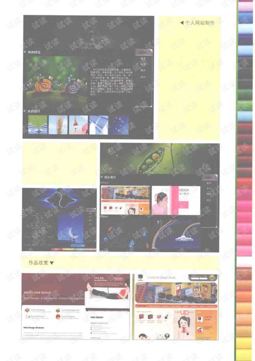 Dreamweaver CS4網頁制作實戰指南